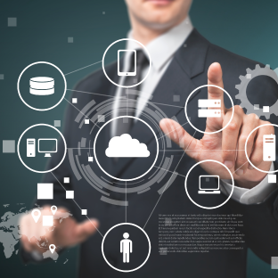 Managed Service Providers (MSPs)