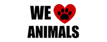 animals-banner